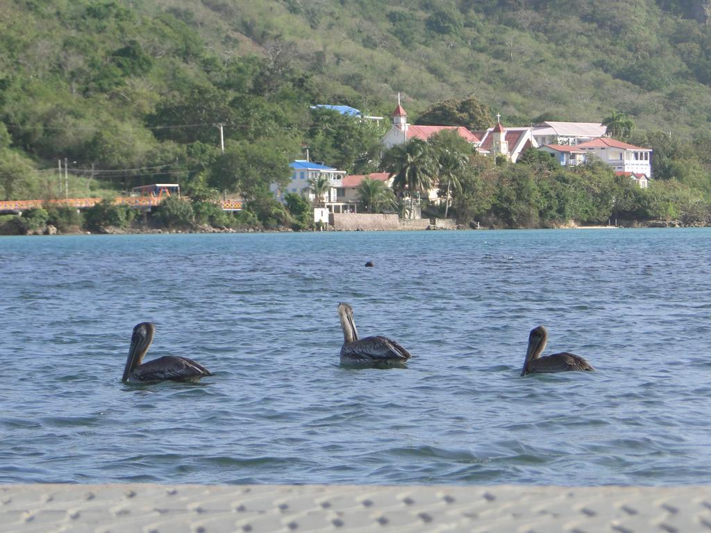 Posada Sunshine Paradise Providencia Island Exteriér fotografie