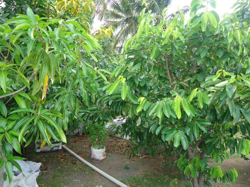 Posada Sunshine Paradise Providencia Island Exteriér fotografie