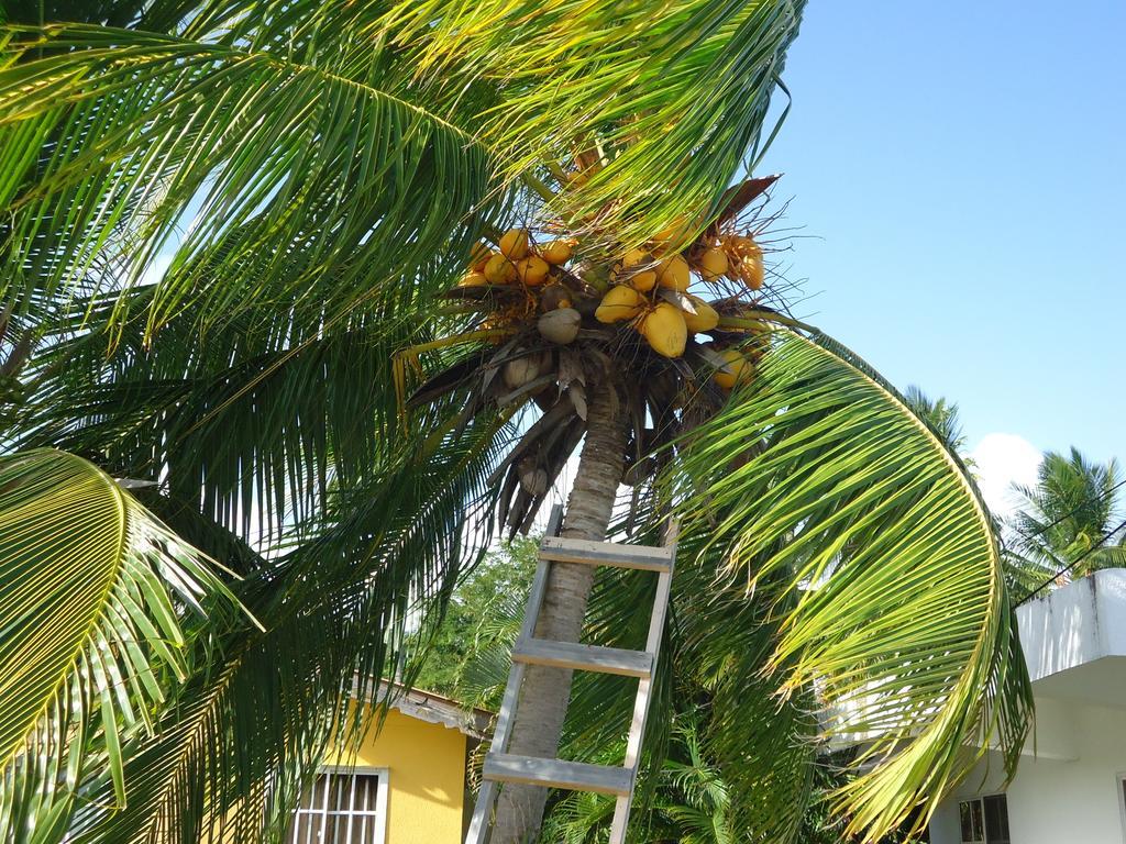 Posada Sunshine Paradise Providencia Island Exteriér fotografie